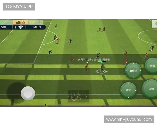 狗闯入足球比赛场地时如何安全应对并妥善处理突发状况指南全面版